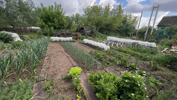 Купить  участок