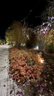 Купить 1-комнатную квартиру